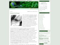 oceko.info